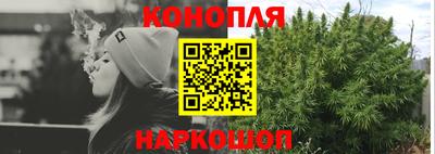 спиды Гусев