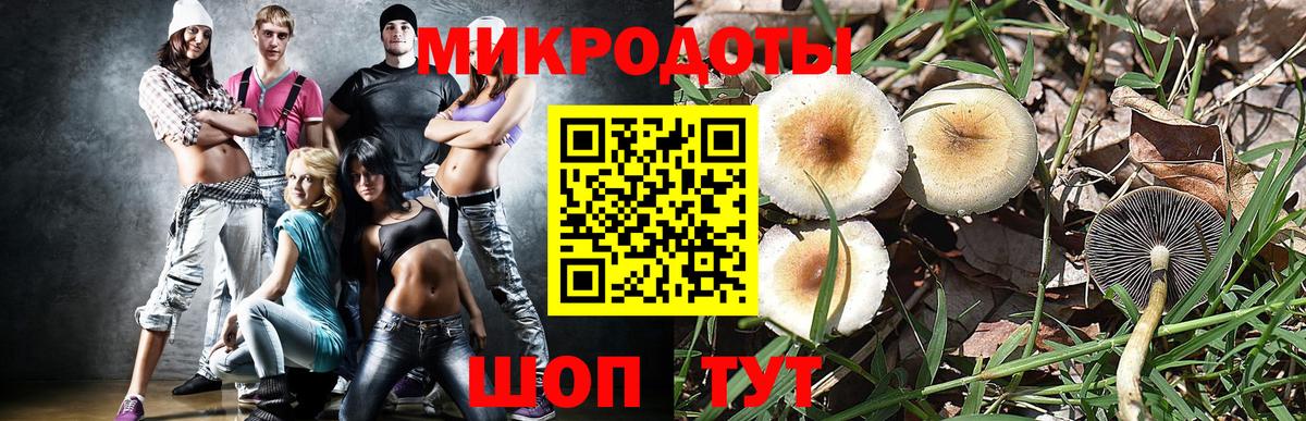 Нерюнгри  Псилоцибиновые грибы ЛСД  Псилоцибиновые грибы GOLDEN TEACHER  Вход с VPN 