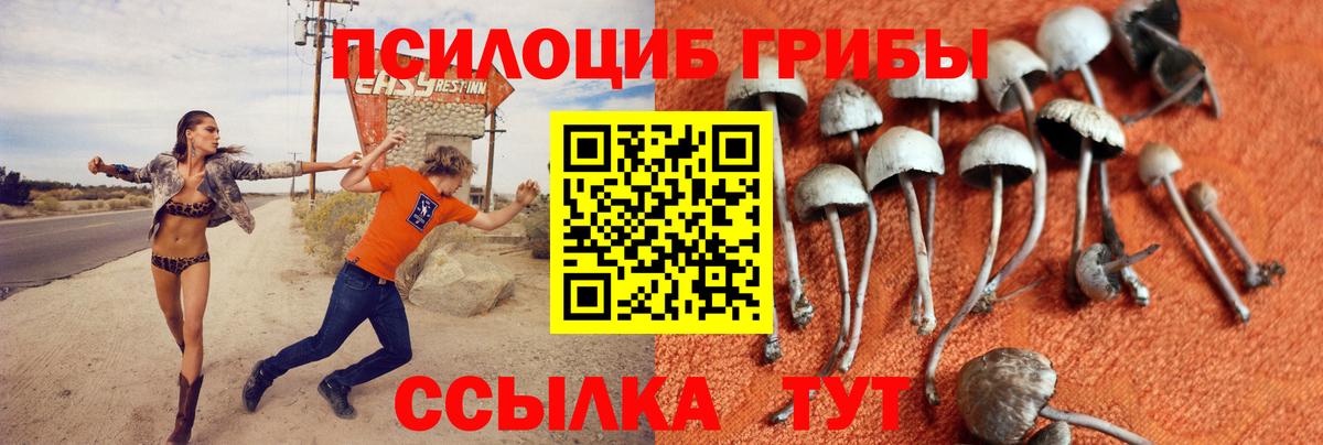 Галлюциногенные грибы MAGIC MUSHROOMS Нерюнгри
